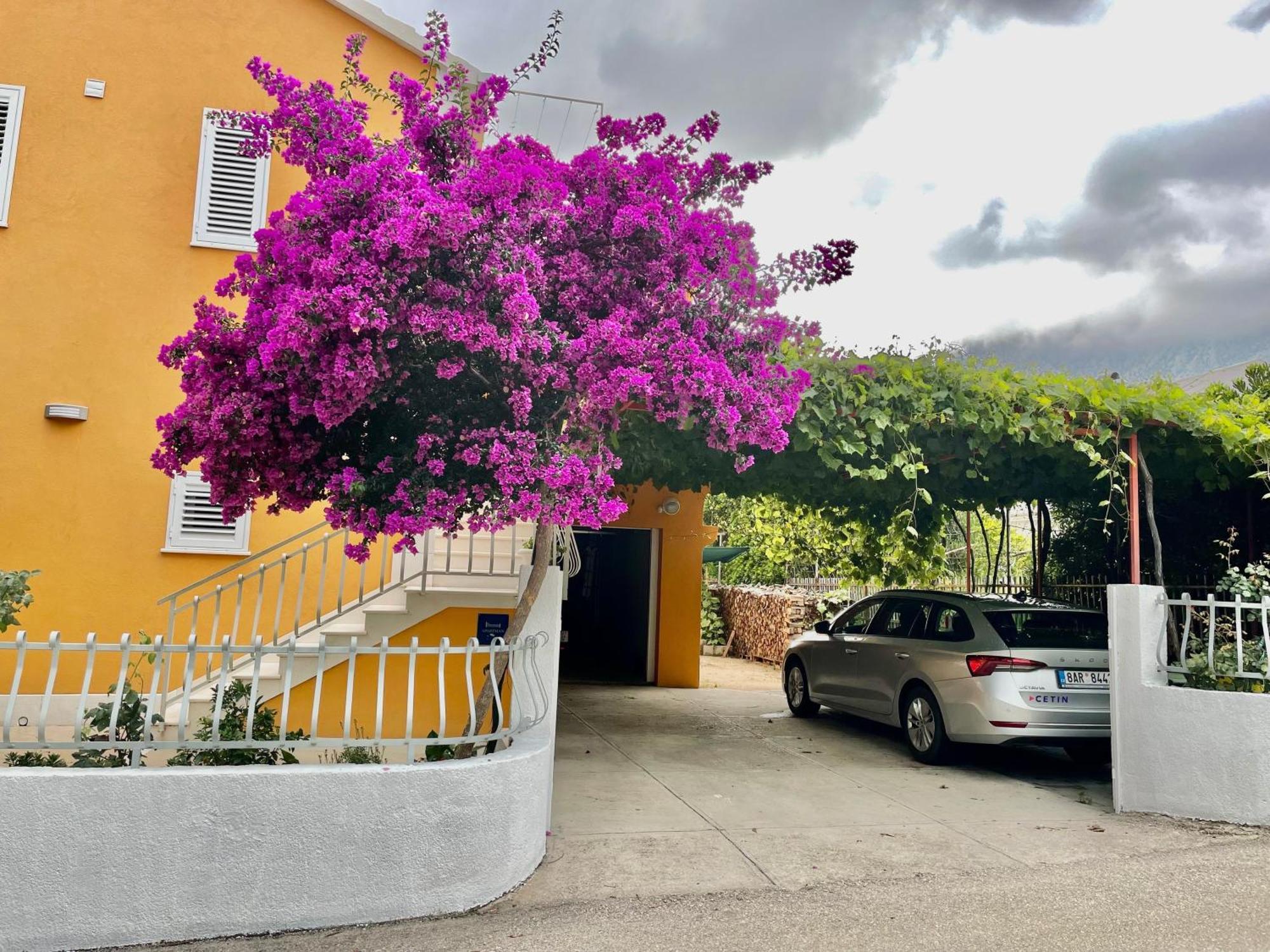 Apartments With A Parking Space Orebic, Peljesac - 4527 Εξωτερικό φωτογραφία
