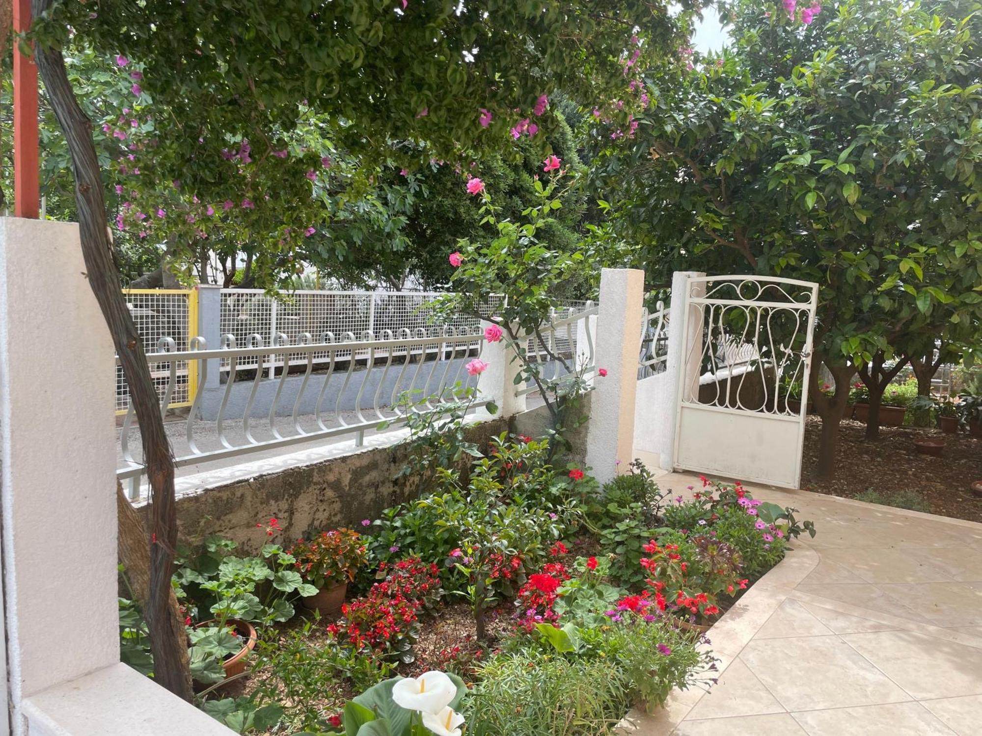 Apartments With A Parking Space Orebic, Peljesac - 4527 Εξωτερικό φωτογραφία